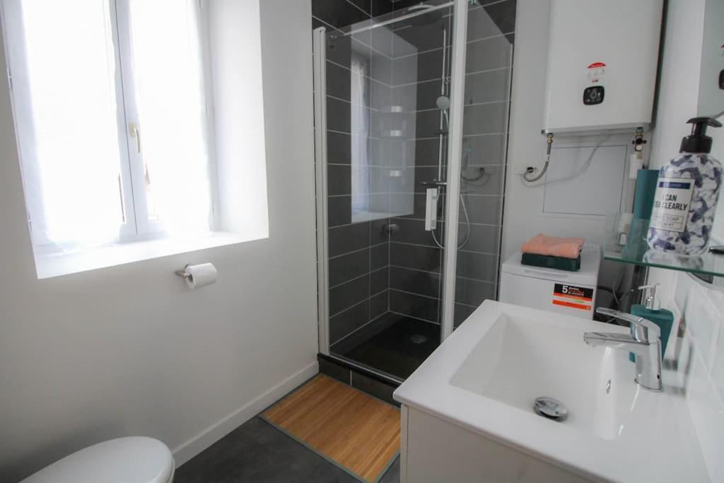 Le Pastel - Grand Renove Apartment Angouleme